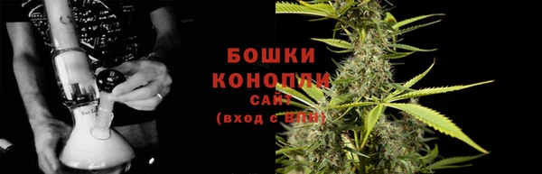 кокс Гусев