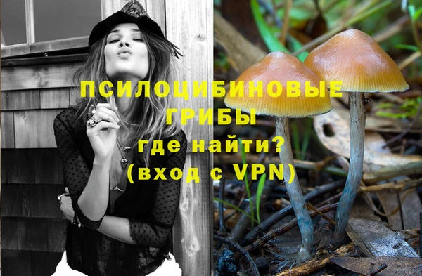 кокс Гусев