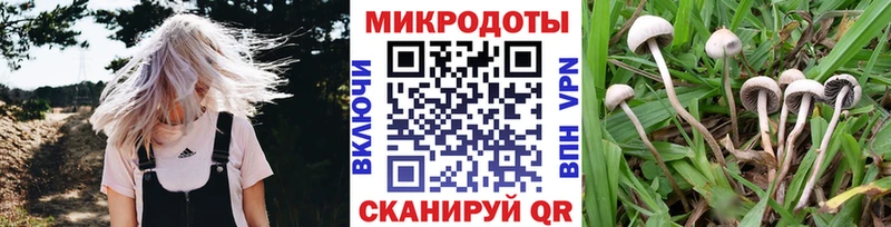 Псилоцибиновые грибы мухоморы  Купить закладки  Рыбное 